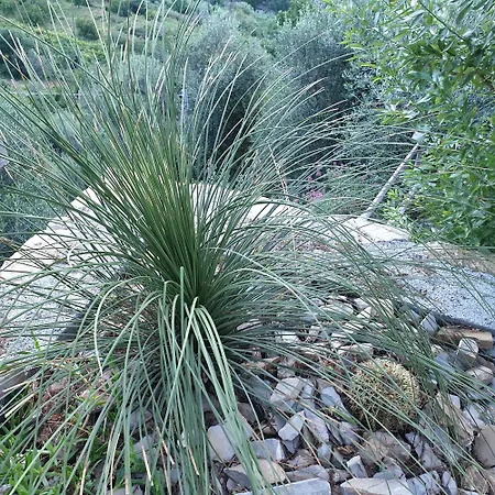 Ligurian Hideaways - De Sonnaz I